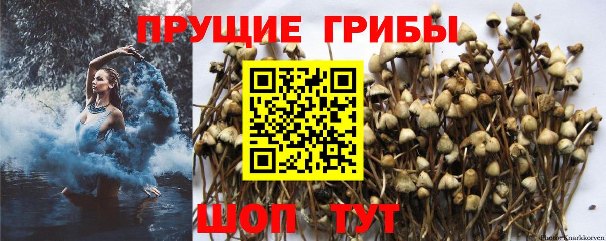 Галлюциногенные грибы мухоморы Ялуторовск